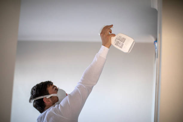 Best Attic Mold Remediation in Sturgis, KY